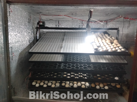 Automatic incubator